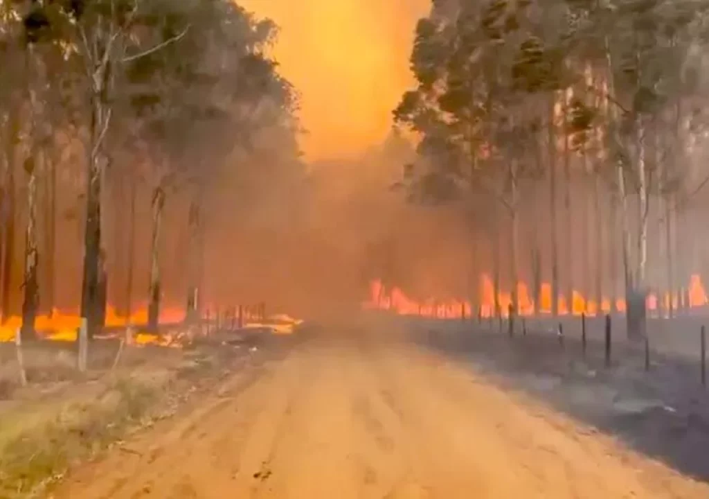 Incendios en Corrientes