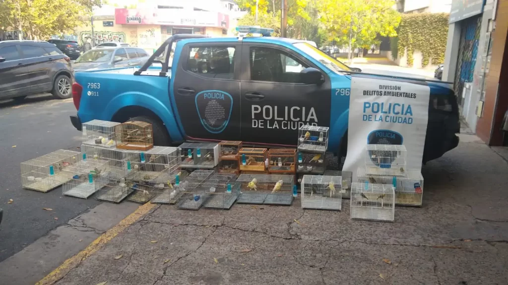 Rescate en Saavedra