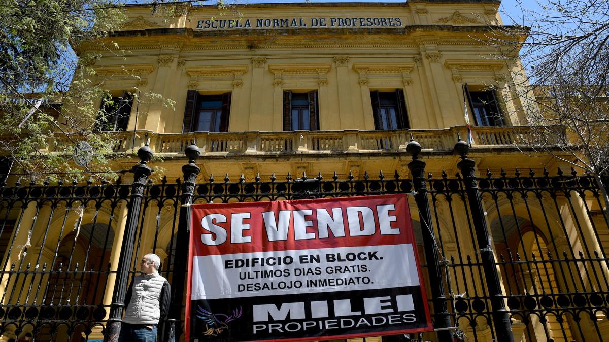 Los pibes contra Milei